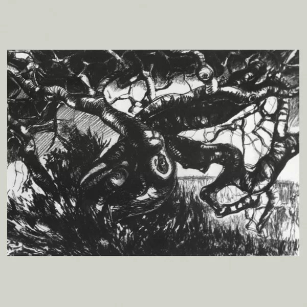 "Carrubo", 1966 carboncino su carta cm 35x50