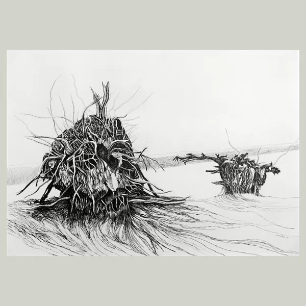"Senza titolo" 1971 matita su carta cm 34 x 49