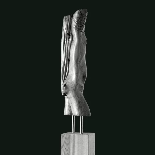 "Giovane che si spoglia" 1979 cipresso