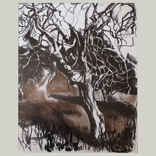 "Alberi" 1967 carboncino e gessetto su carta cm50x35